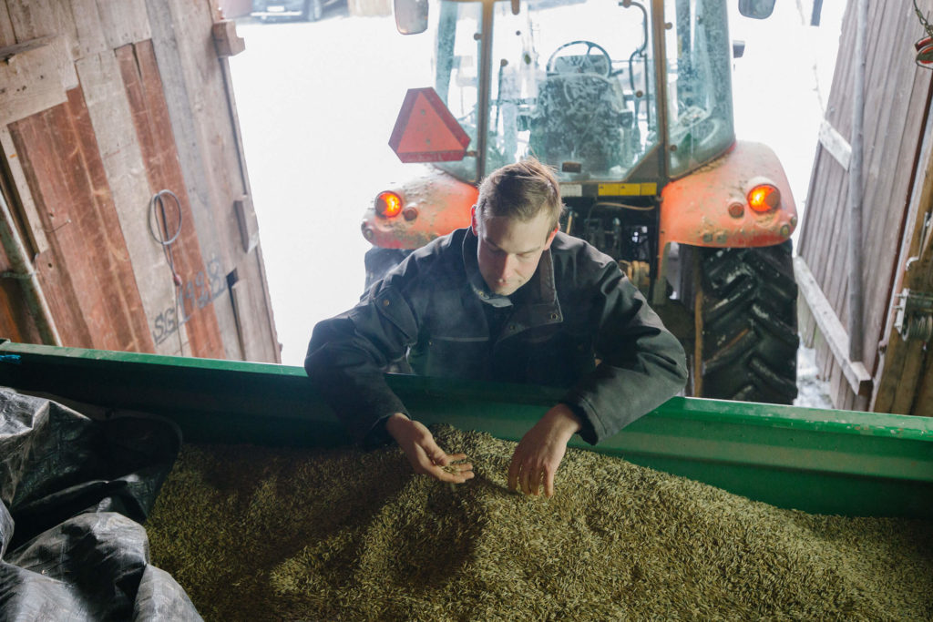 Man with harvest in big container in front of tractor